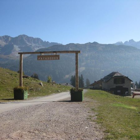 Chalet Francesca Patascoss Apartment Madonna di Campiglio Bagian luar foto